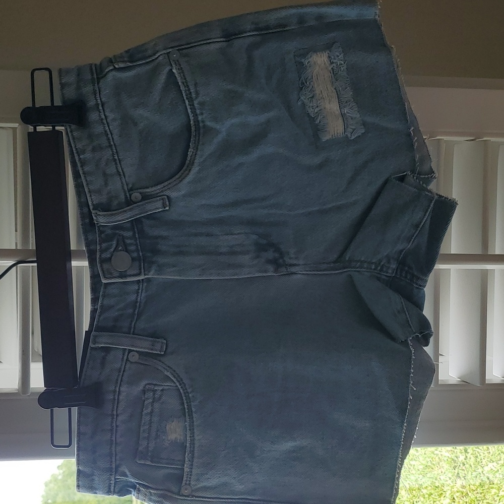 Blank NYC The Barrow Denim Shorts
